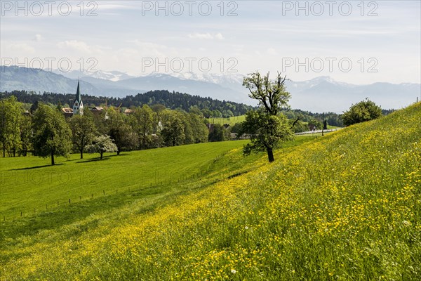 Blooming spring meadow and village