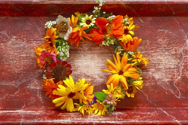 Flower wreath on red background