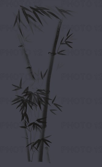 Three stalks of bamboo tree with leaves artistic oriental style illustration