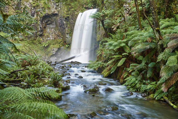Hopetoun Falls in the rainforest
