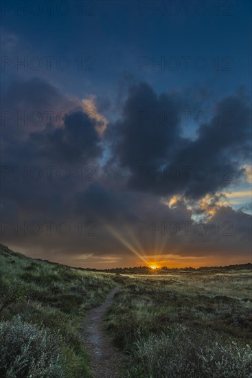 Sunrise with sunbeams over heathland