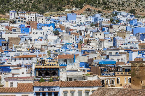 Blue houses