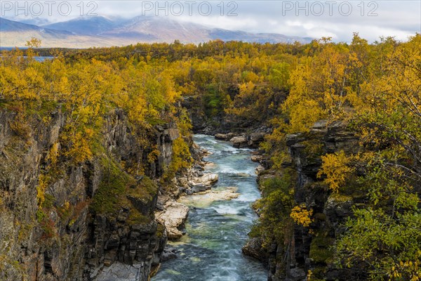 Autumnal Abisko Canyon