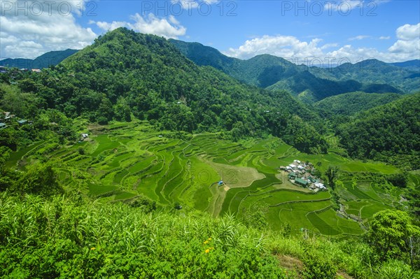 Bangaan in the rice terraces of Banaue