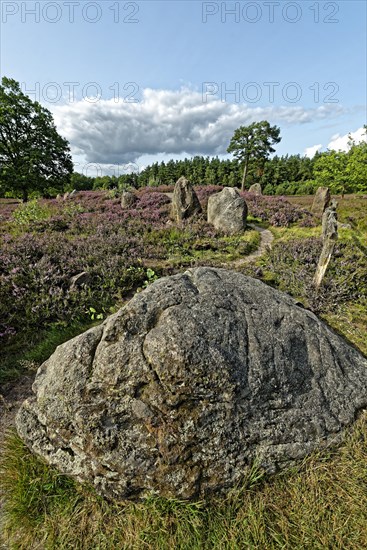 Megalithic plants of the Funnel Beaker Culture