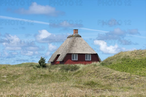 Red wooden house with thatched roof