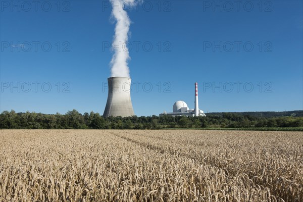 Grain field at the Swiss nuclear power plant Leibstadt am Rhein