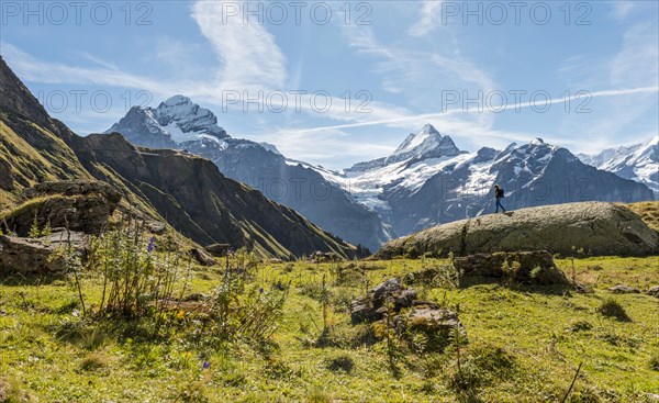 Hiker on a rock