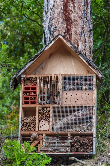 Insect hotel