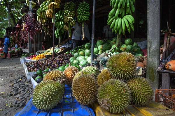 Fruit stall