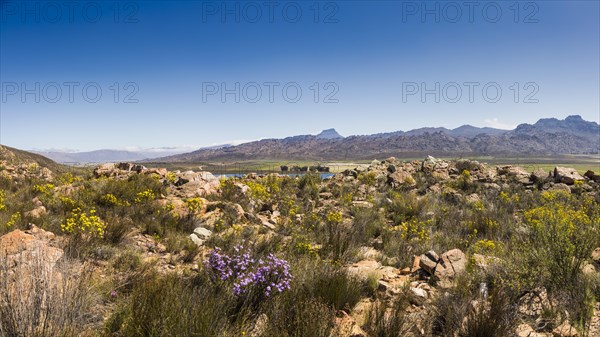 Landscape in the Ceder Mountains near Clanwilliam