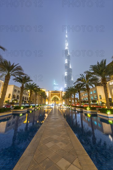 Palm trees and fountains