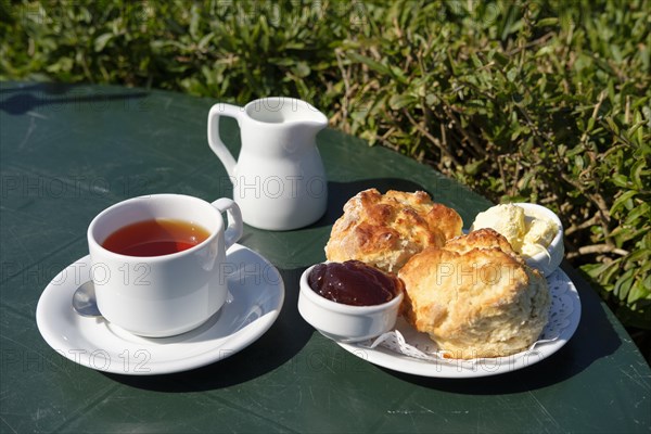 Cornish cream tea