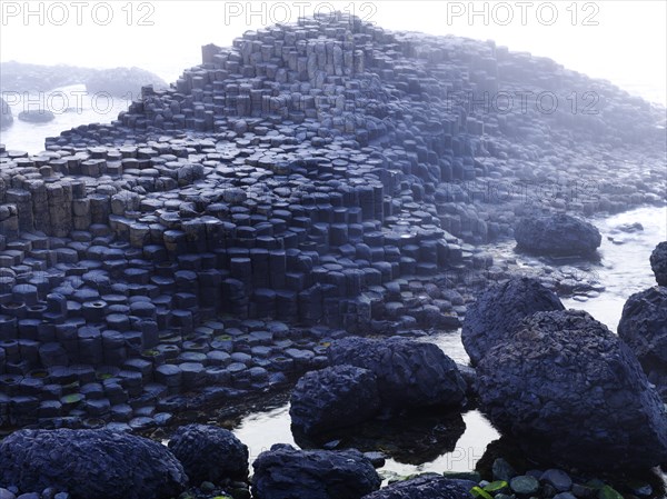 Giant's Causeway in the morning mist