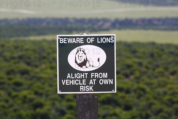 Warning Sign Beware of Lions at viewpoint