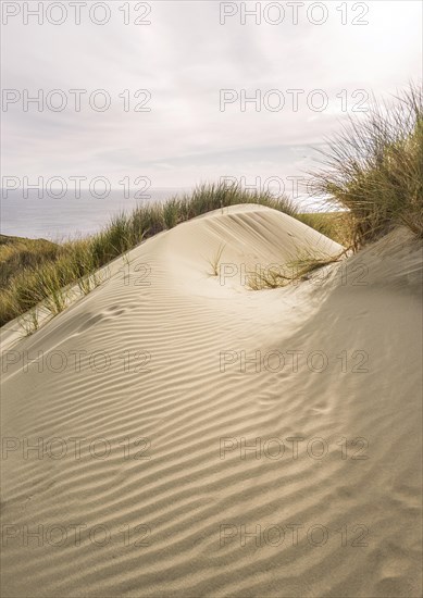 Sand Dune