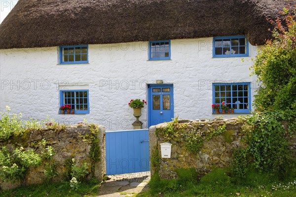 Traditional thatched house