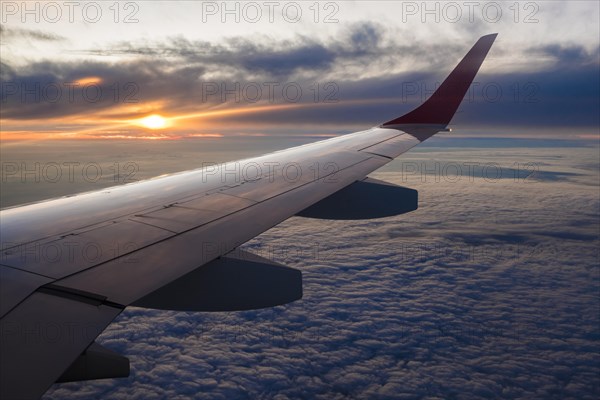 Wing of the airplane