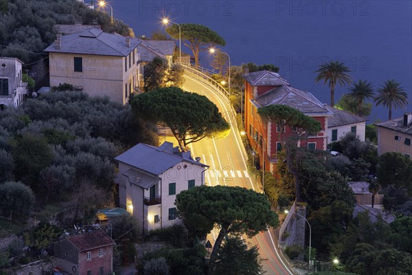 Road bend between houses and pines