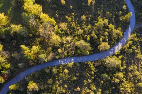 Curvy path in Isarauen