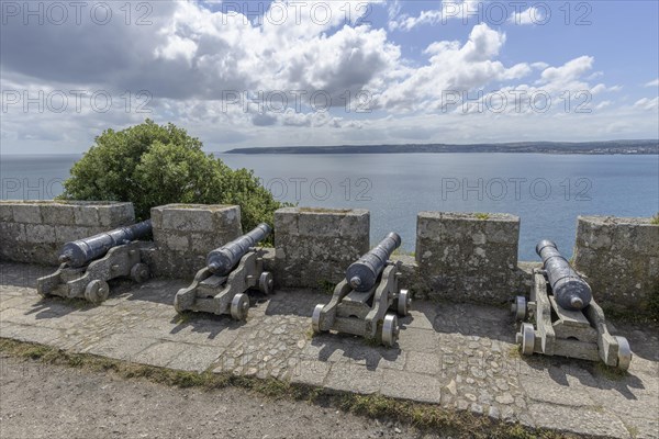 Cannons in the castle