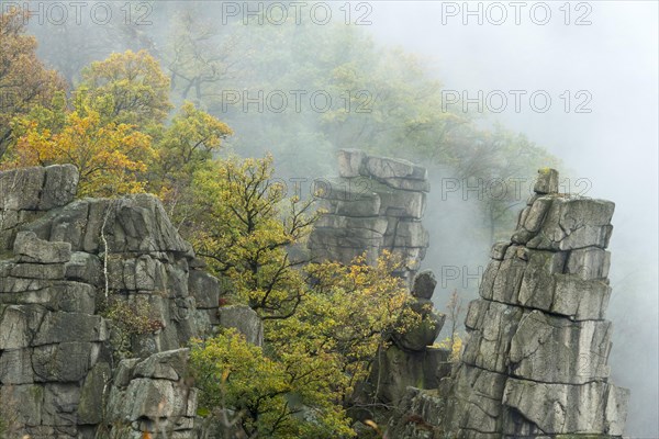 Rock spires in fog