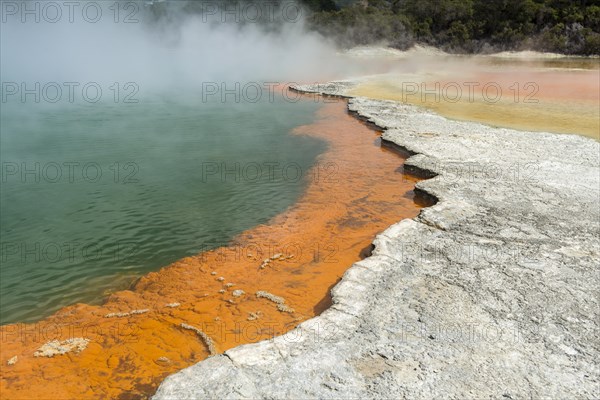 Champagne Pool