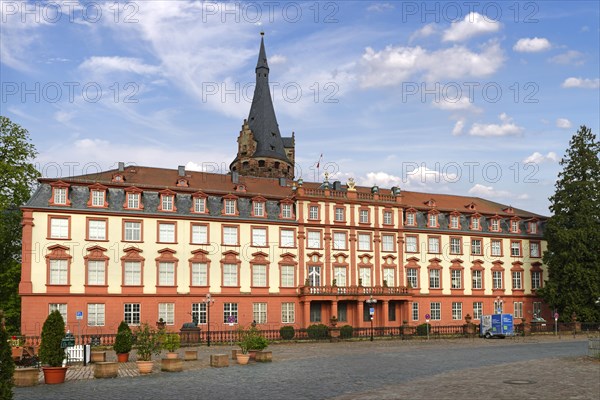 Erbach Castle