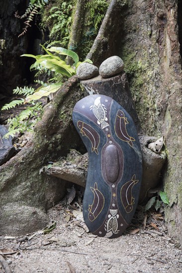 Shield of Aborigines