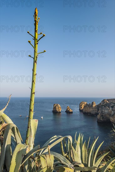 Ponta da Piedade