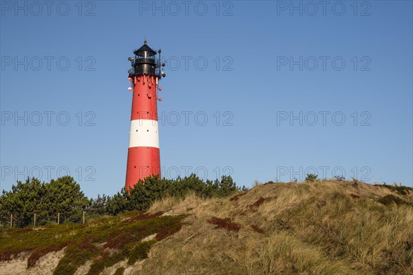 Lighthouse of Hornum