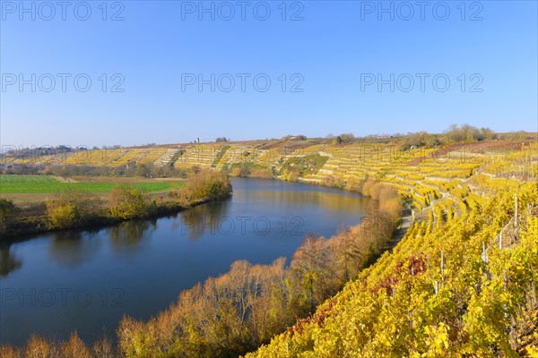 Neckar loop near Kirchheim am Neckar