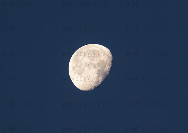 Moon