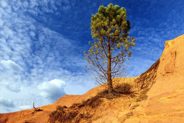 Ocher quarry Colorado Provencal