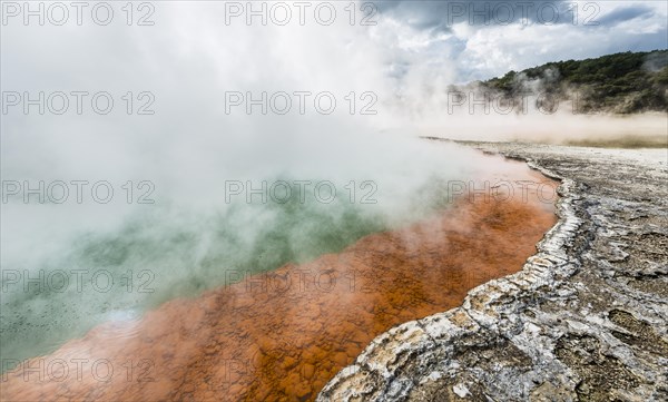 Champagne Pool