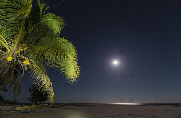 Sand beach at moonlight