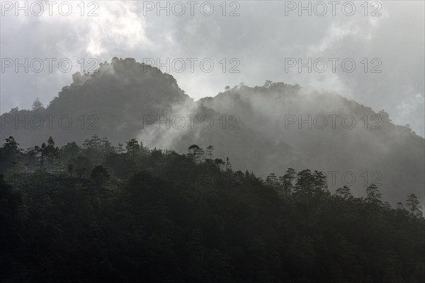 Mountains covered with vegetation