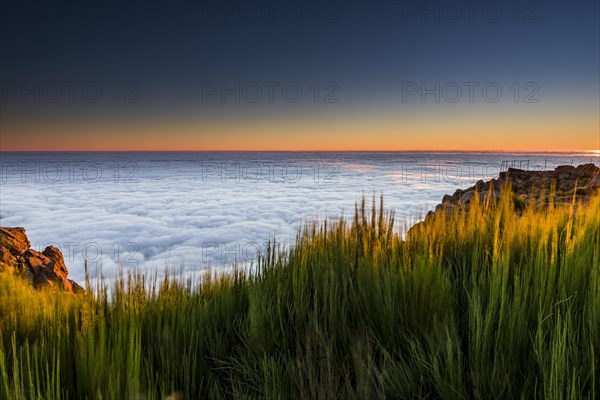 Sunrise with sea of mist
