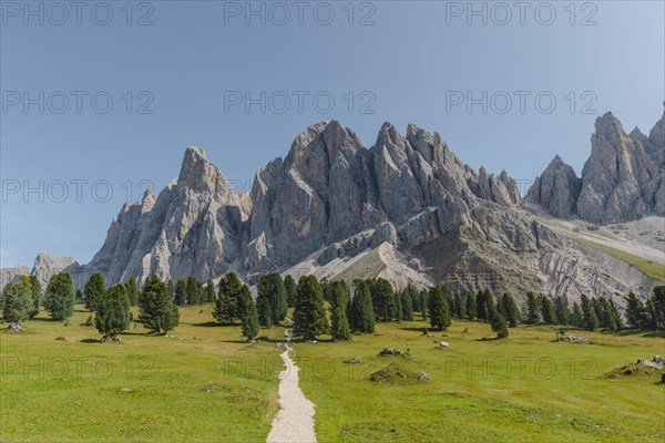 Hiking trail near the Gschnagenhardt Alm