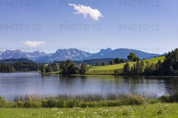 Schwaltenweiher