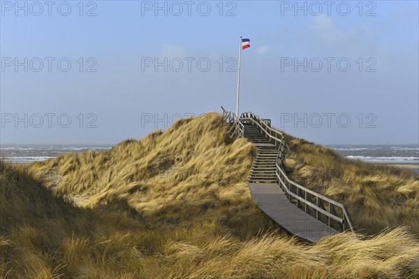 Boardwalk on the dunes of the North Sea