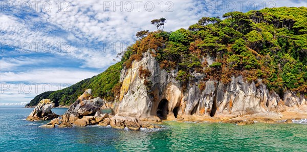 Tropical overgrown bizarre rock formation