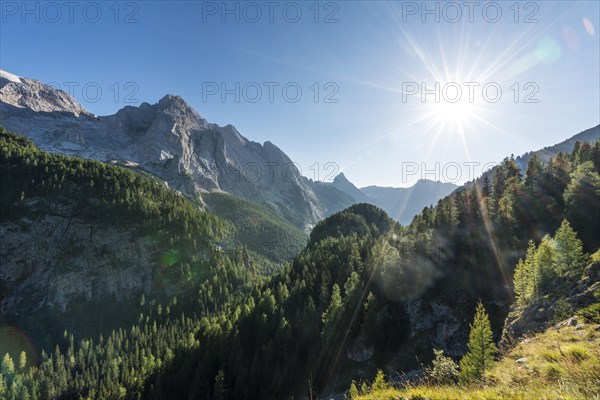 View of the forest and mountains