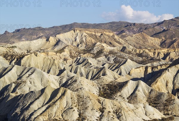 Bare ridges of eroded sandstone