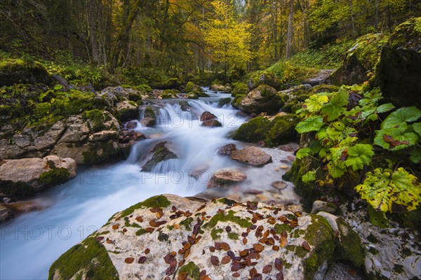 Hammersbach in autumn