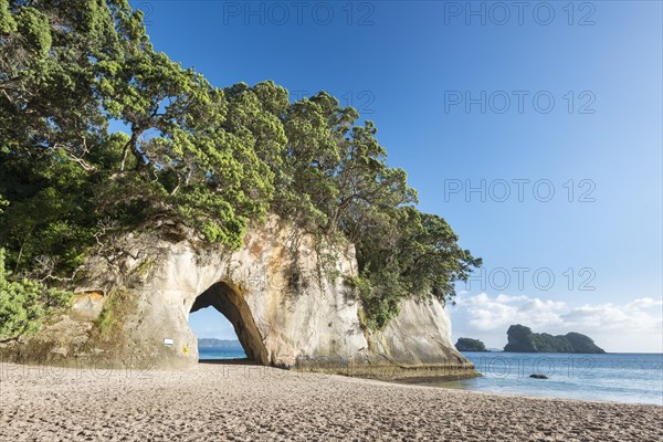 Bay Cathedral Cove with Natural Arch
