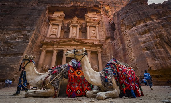 Dromedaries in front of the Pharaoh's treasure house carved out of rock