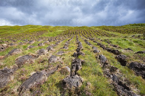 Machine cut peat on a slope