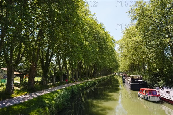 Canal du Midi