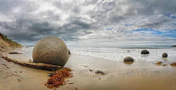 Moeraki Boulders